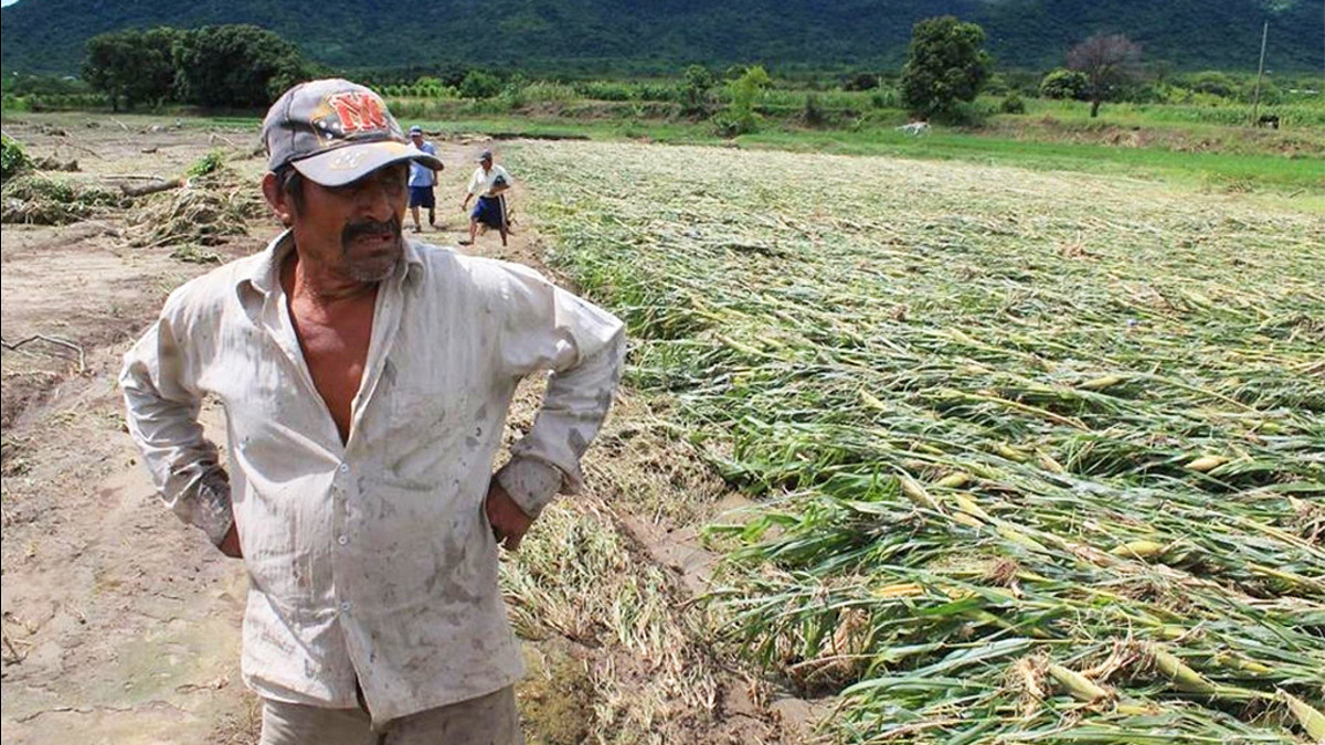 Impacto económico del fenómeno de El Niño en el Perú