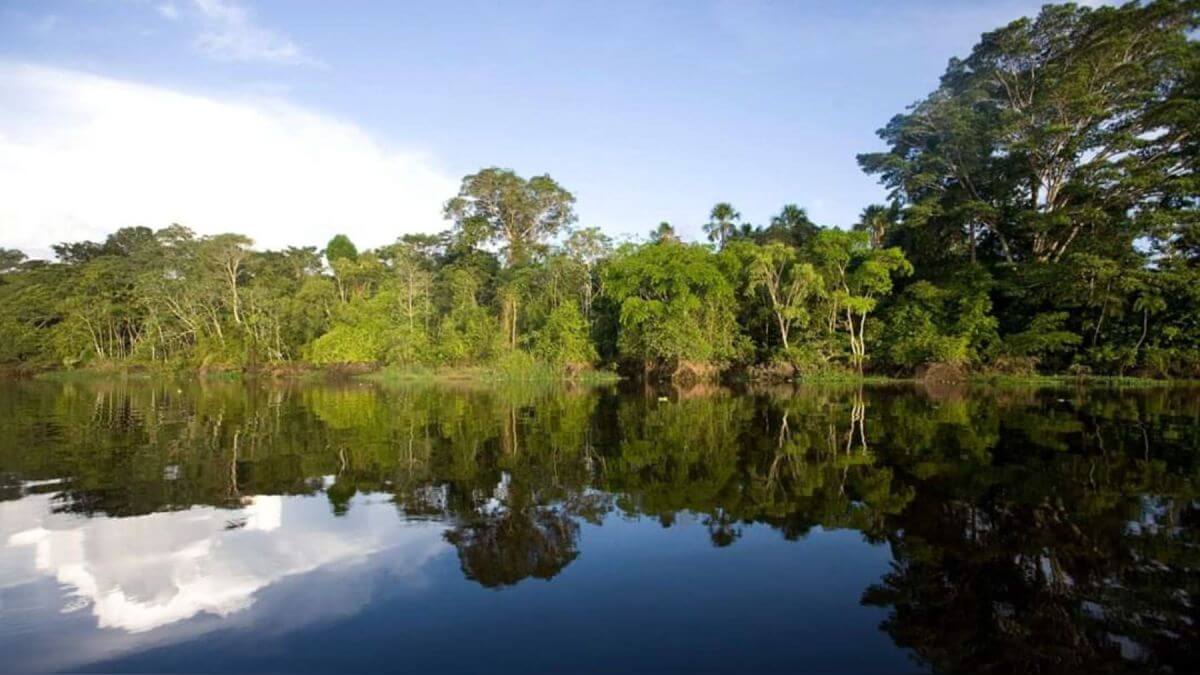 La conservación del bosque, el desarrollo productivo y la sostenibilidad de los servicios ecosistémicos