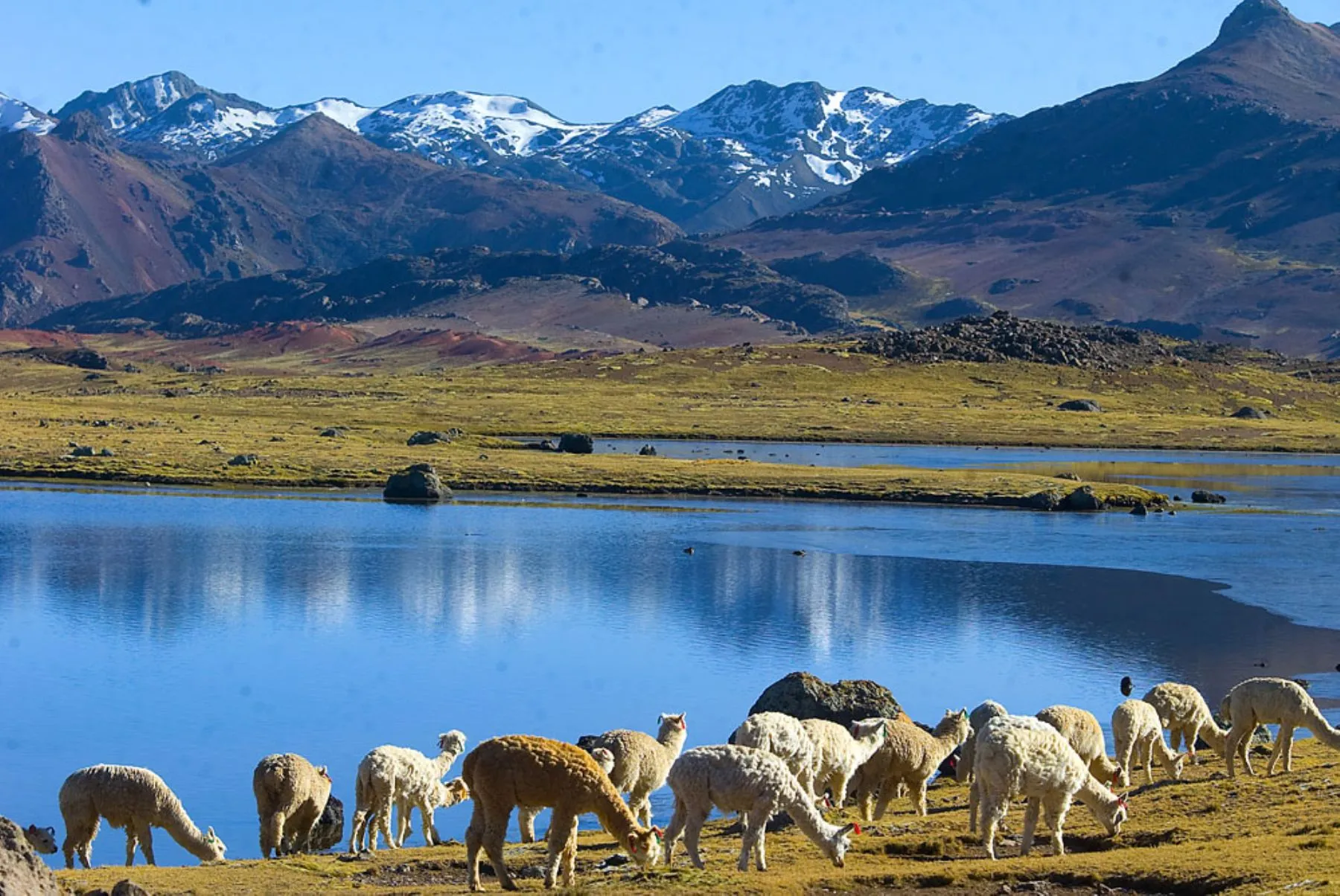 Cajamarca y el agua