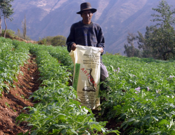 Agricultura familiar en el Perú: caracterización , problemática y oportunidades