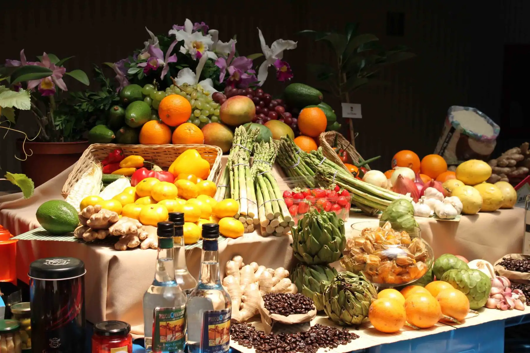 Piura: El desafío de transformar su potencial agroexportador