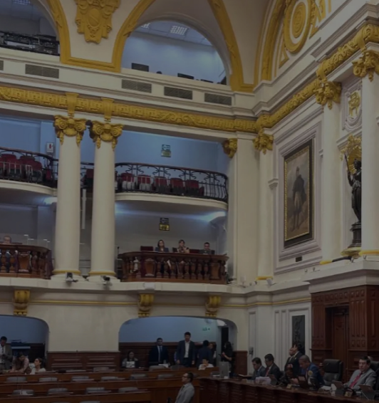 El nuevo Congreso: Bicameralidad y funcionamiento del Senado peruano